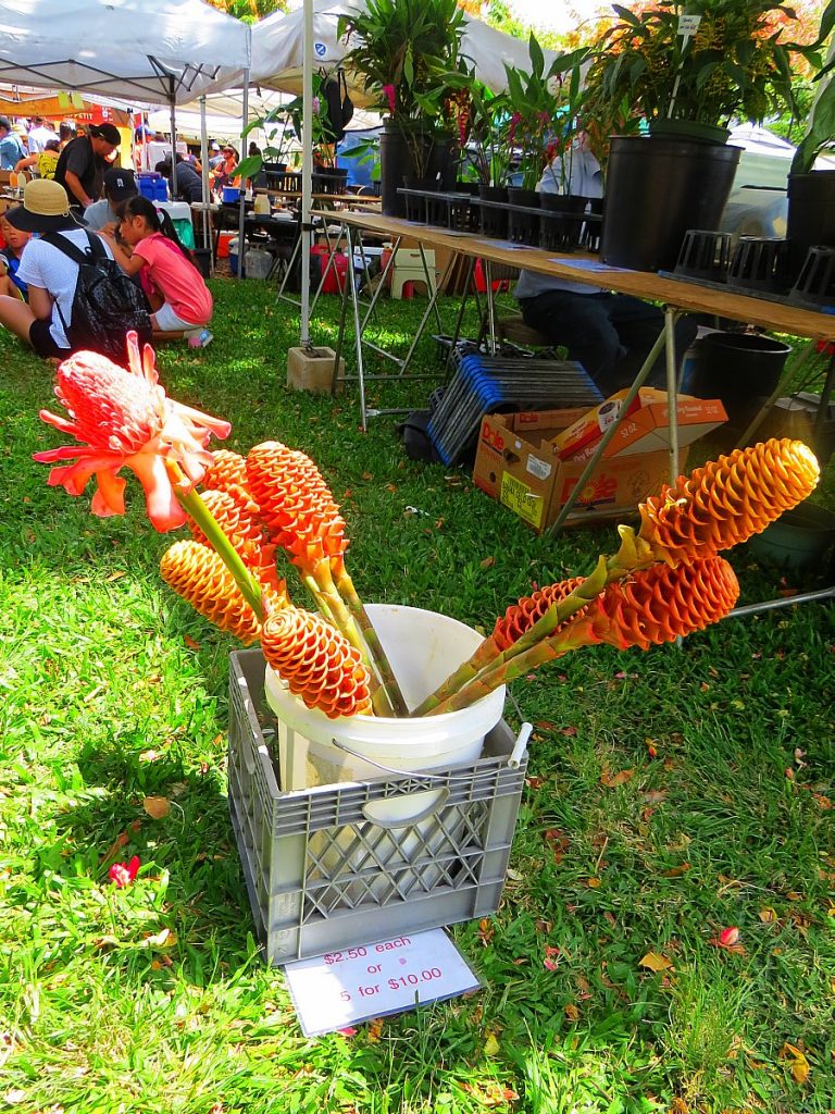 Why You Shouldn't Miss The KCC Farmer's Market On Oahu, Hawaii