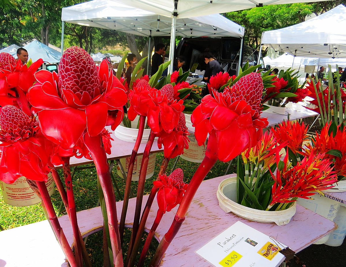 Why You Shouldn't Miss The KCC Farmer's Market On Oahu, Hawaii